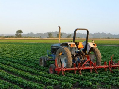 فروش لوله 16 دریپردار (قطره چکان دار) در کهورستان