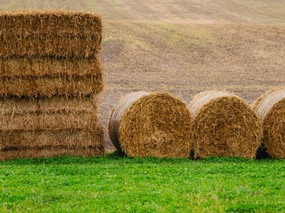 فروش وسایل و تجهیزات و لوازم آبیاری قطره ای در لار