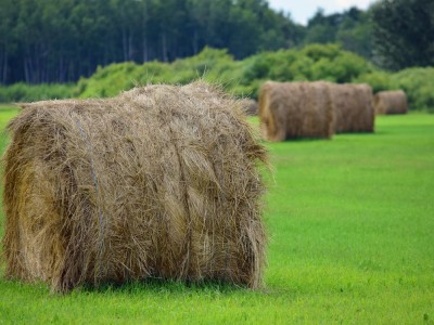 فروش وسایل و تجهیزات و لوازم آبیاری قطره ای در شاهرود