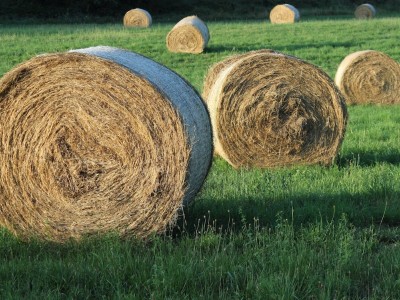 فروش وسایل و تجهیزات و لوازم آبیاری قطره ای در شهرکرد