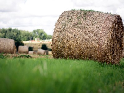 فروش وسایل و تجهیزات و لوازم آبیاری قطره ای در ساری و مازندران