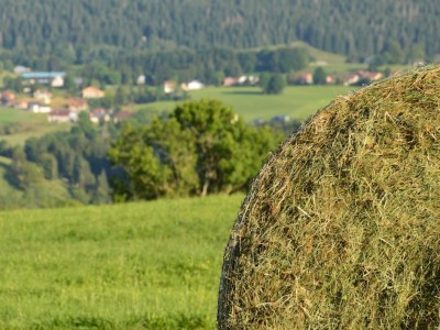 فروش وسایل و تجهیزات و لوازم آبیاری قطره ای در دماوند