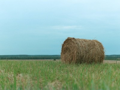 فروش وسایل و تجهیزات و لوازم آبیاری قطره ای در رشت و گیلان