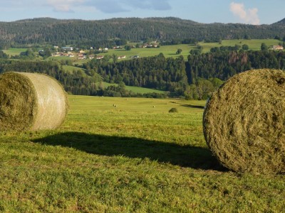 فروش وسایل و تجهیزات و لوازم آبیاری قطره ای در فیروزکوه