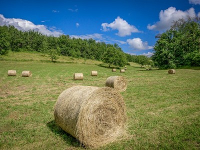 فروش وسایل و تجهیزات و لوازم آبیاری قطره ای در فریدن