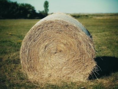 فروش وسایل و تجهیزات و لوازم آبیاری قطره ای در داراب