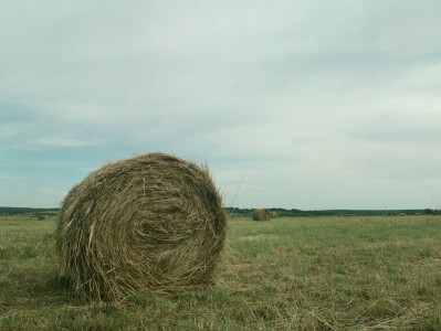 فروش وسایل و تجهیزات و لوازم آبیاری قطره ای در تاکستان