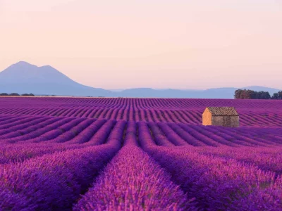 فروش نوار آبیاری در هشتگرد