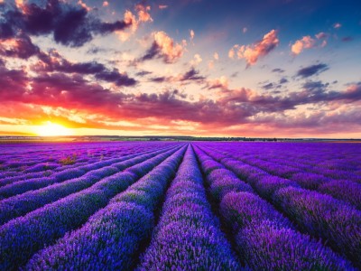 فروش نوار آبیاری در آبیک