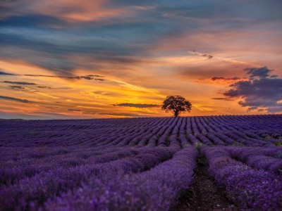 فروش نوار آبیاری در قم