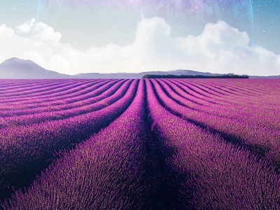 فروش نوار آبیاری در تاکستان