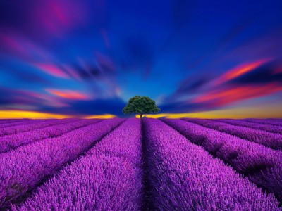 فروش نوار آبیاری در چابهار