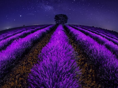 فروش نوار آبیاری در سیرجان