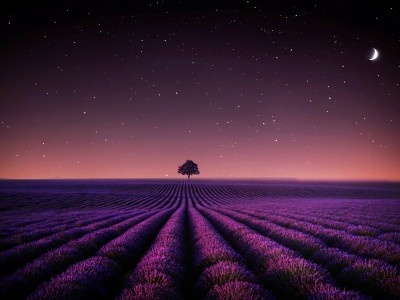 فروش نوار آبیاری در نیشابور