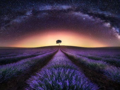 فروش نوار آبیاری در ایلام