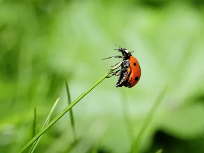 فروش لوازم و تجهیزات و اتصالات بارانی در نیشابور