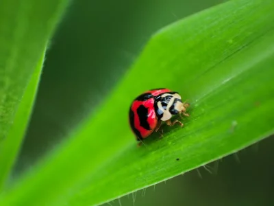 فروش لوازم و تجهیزات و اتصالات بارانی در جهرم