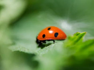 فروش لوازم و تجهیزات و اتصالات بارانی در بوئین زهرا