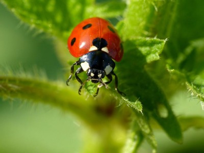 فروش لوازم و تجهیزات و اتصالات بارانی در زاهدان و سیستان
