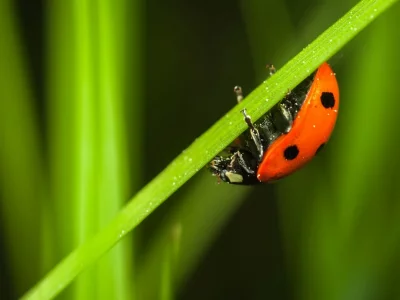 فروش لوازم و تجهیزات و اتصالات بارانی در زنجان