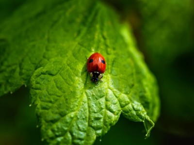 فروش لوازم و تجهیزات و اتصالات بارانی در تاکستان