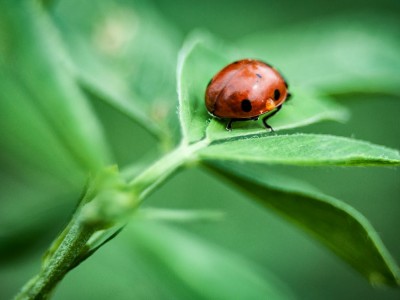 فروش لوازم و تجهیزات و اتصالات بارانی در پیشوا