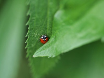 فروش لوازم و تجهیزات و اتصالات بارانی در قزوین