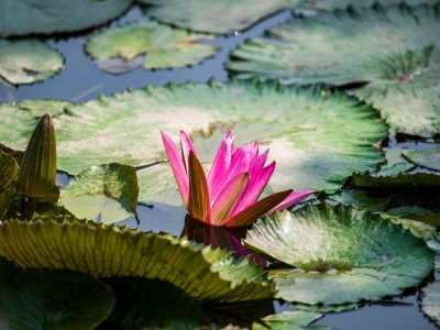 فروش نایلون کشاورزی در کرمانشاه