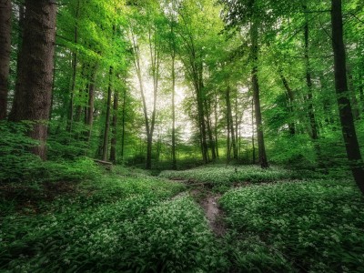 فروش قطره چکان آبیاری قطره ای در چابهار