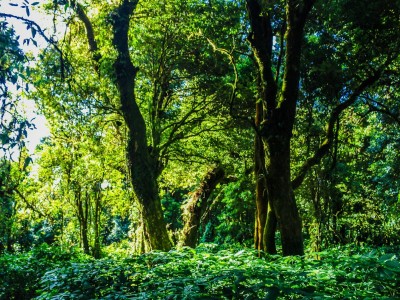 فروش قطره چکان آبیاری قطره ای در تویسرکان