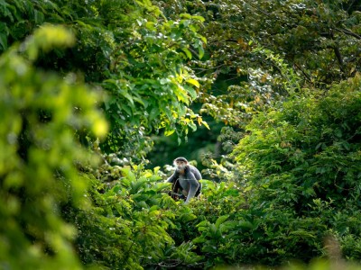 فروش قطره چکان آبیاری قطره ای در قزوین