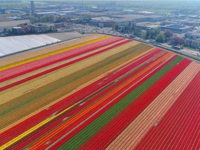 فروش لوله 16 دریپردار (قطره چکان دار) در قزوین