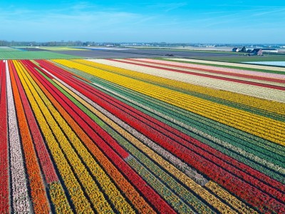 فروش لوله 16 دریپردار (قطره چکان دار) در اردبیل