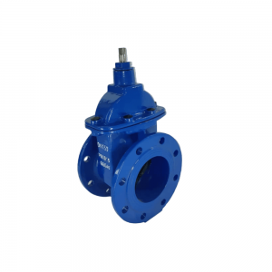 شیر کشویی زبانه لاستیکی 125mm (5 اینچ) شیرود