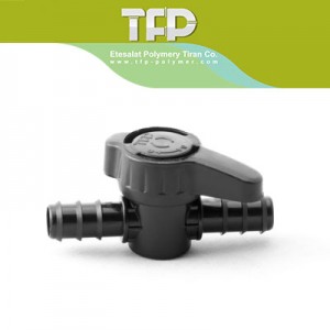 شیر 16 به 16 TFP