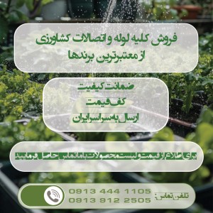 نوار تیپ جو در کیش قشم گناوه