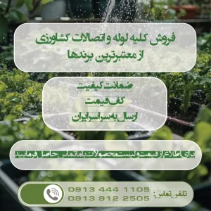 نوار تیپ سیب زمینی در اهواز خوزستان