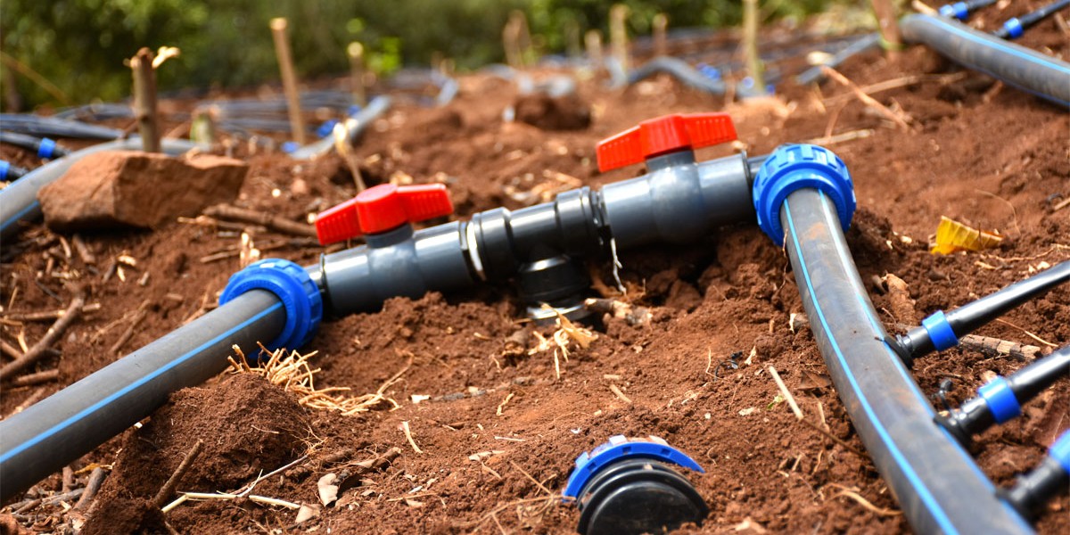 سیستم آبیاری قطره ای