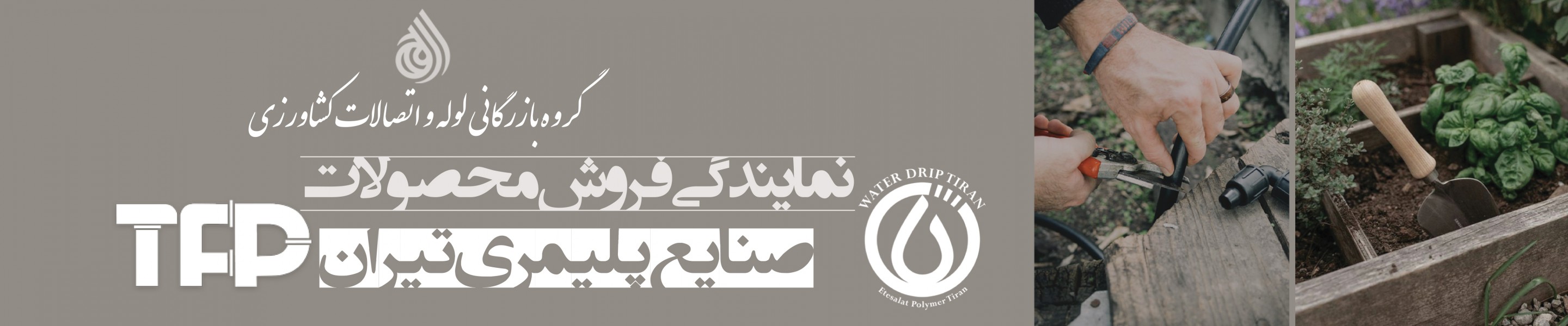 نمایندگی فروش محصولات TFP