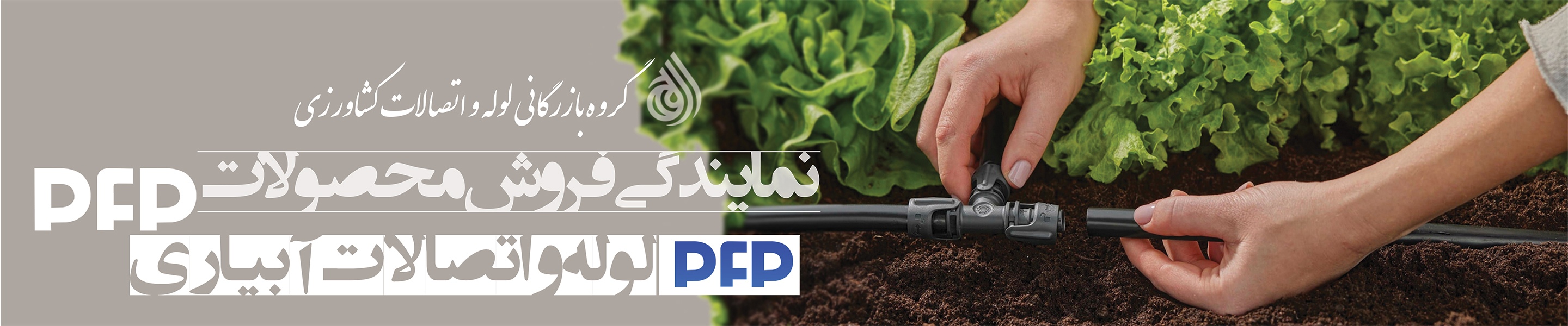 نمایندگی فروش محصولات PFP