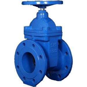 شیر کشویی زبانه لاستیکی شیرود PN16 و PN10 چدن - 50