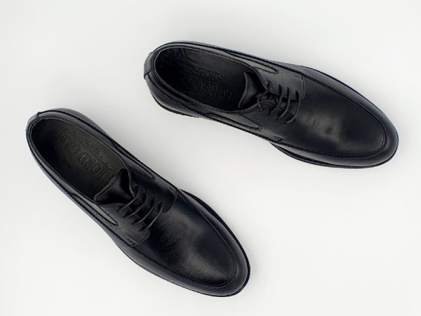 کفش مردانه لردگام مدل شانگ کد D1025