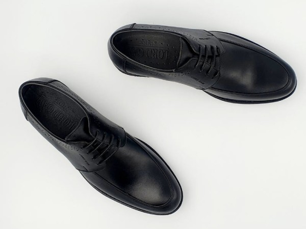 کفش مردانه لردگام مدل دکارت کد D1029