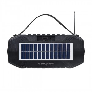 Speaker TS23006