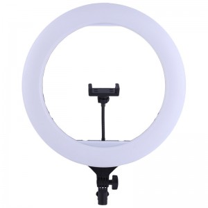 رینگ لایت YQ-420