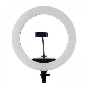 رینگ لایت زئوس مدل Zeus BK416II