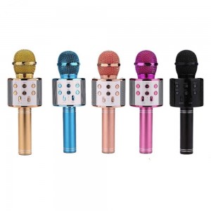Speaker microphone