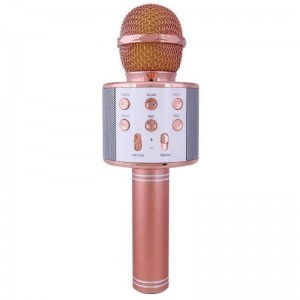 میکروفون اسپیکر WS-858