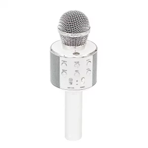 میکروفون WS-858