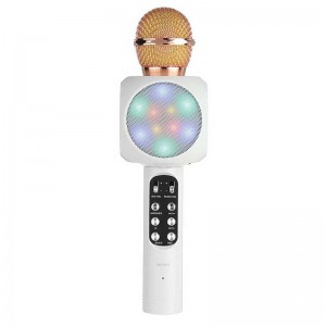 میکروفون اسپیکر مدل WS-1816